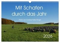 Produktbild: Mit Schafen durch das Jahr (Wandkalender 2026 DIN A3 quer), CALVENDO Monatskalender