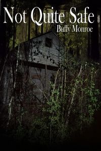 Produktbild: Not Quite Safe (Not Quite Series)