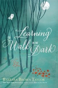 Produktbild: Learning to Walk in the Dark