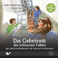 Produktbild: Folge 3: Das Geheimnis des schwarzen Falken