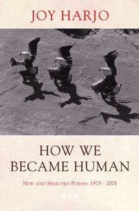 Produktbild: How We Became Human