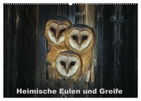 Produktbild: Heimische Eulen und Greife (Wandkalender 2027 DIN A2 quer), CALVENDO Monatskalender
