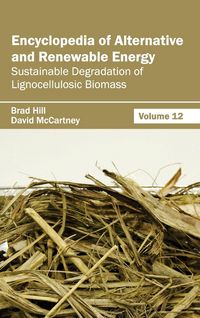 Produktbild: Encyclopedia of Alternative and Renewable Energy