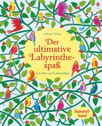 Produktbild: Der ultimative Labyrinthespa&szlig;
