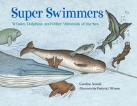 Produktbild: Super Swimmers: Whales, Dolphins, and Other Mammals of the Sea