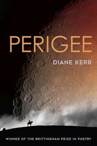 Produktbild: Perigee