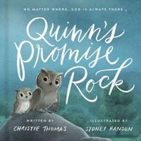 Produktbild: Quinn's Promise Rock