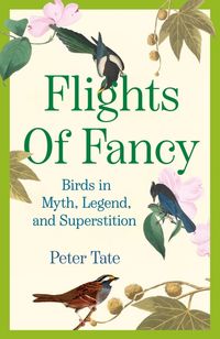 Produktbild: Flights of Fancy