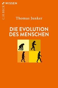 Produktbild: Die Evolution des Menschen