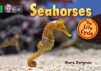 Produktbild: Seahorses