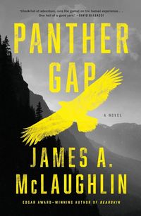 Produktbild: Panther Gap