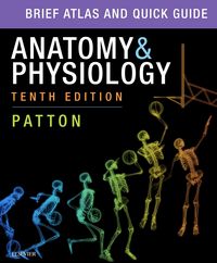Produktbild: PART - Brief Atlas of the Human Body and Quick Guide to the Language of Science and Medicine for Anatomy & Physiology E-Book