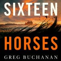 Produktbild: Sixteen Horses