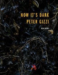Produktbild: Now It's Dark
