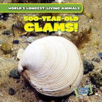 Produktbild: 500-Year-Old Clams