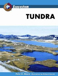 Produktbild: Moore, P:  Tundra