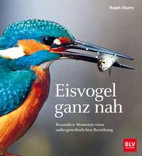 Produktbild: Eisvogel ganz nah