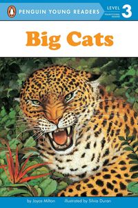 Produktbild: Big Cats