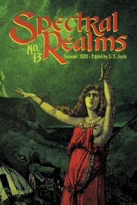 Produktbild: Spectral Realms No. 13