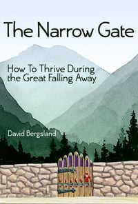 Produktbild: The Narrow Gate
