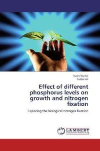 Produktbild: Bashir, K: Effect of different phosphorus levels on growth a