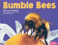Produktbild: Bumble Bees