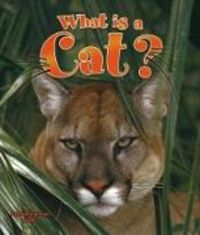 Produktbild: What Is a Cat?