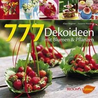 Produktbild: 777 Dekoideen