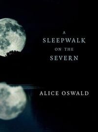 Produktbild: A Sleepwalk on the Severn