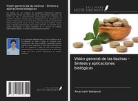 Produktbild: Visi&oacute;n general de las tiazinas - S&iacute;ntesis y aplicaciones biol&oacute;gicas