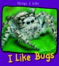 Produktbild: Aylmore, A: I Like Bugs