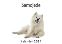 Produktbild: Samojede (Wandkalender 2024, Kalender DIN A4 quer, Monatskalender im Querformat mit Kalendarium, Das perfekte Geschenk)