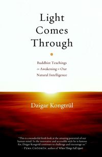 Produktbild: Light Comes Through