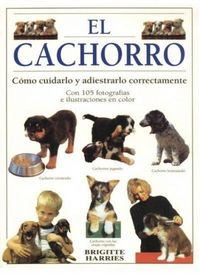 Produktbild: El cachorro : c&oacute;mo cuidarlo y adiestrarlo perfectamente