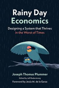Produktbild: Rainy Day Economics