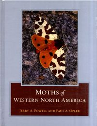 Produktbild: Powell, J: Moths of Western North America