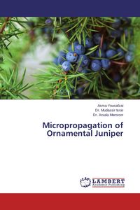 Produktbild: Micropropagation of Ornamental Juniper
