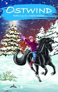 Produktbild: Ostwind &ndash; Rettung an Weihnachten