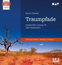 Produktbild: Traumpfade