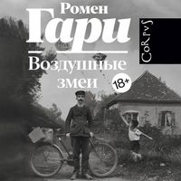 Produktbild: Vozdushnye zmei