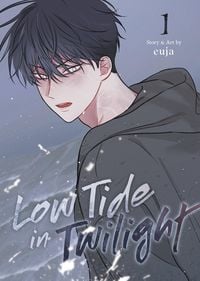 Produktbild: Low Tide in Twilight Vol. 1