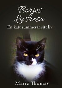 Produktbild: B&ouml;rjes livsresa