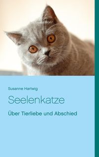 Bild vom Artikel Seelenkatze vom Autor Susanne Hartwig