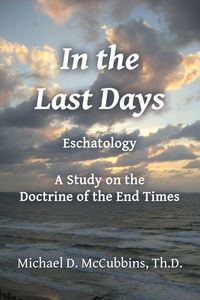 Produktbild: In the Last Days