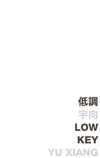 Produktbild: Low Key