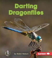 Produktbild: Darting Dragonflies