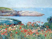Produktbild: Hassam Poppies Portfolio Notes