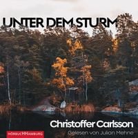 Produktbild: Unter dem Sturm