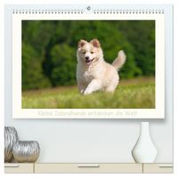 Produktbild: Kleine Islandhunde entdecken die Welt (hochwertiger Premium Wandkalender 2027 DIN A2 quer), Kunstdruck in Hochglanz