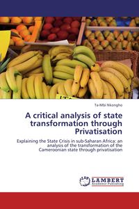 Produktbild: A critical analysis of state transformation through Privatisation
